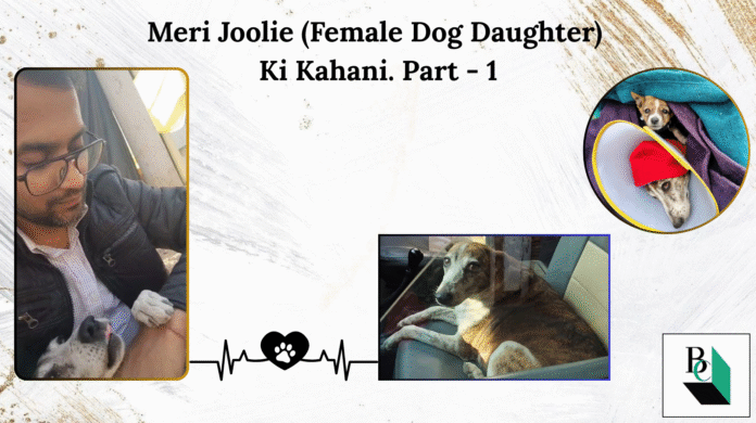 Meri Joolie (Female Dog Daughter) Ki Kahani Part 1