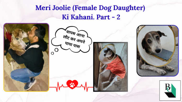 Meri Joolie (Female Dog Daughter) Ki Kahani Part 2