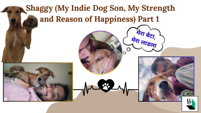 Shaggy (My Indie Dog Son, My Strength and Reason of Happiness) Part 1